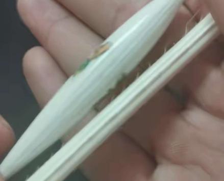 孔雀羽浮漂有十几块的,真正的孔雀羽浮漂