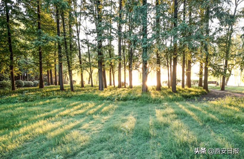西安市有哪些公园免费开放,西安免费儿童玩的公园