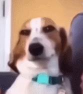 第一次人机大战电影,第一次人机战争