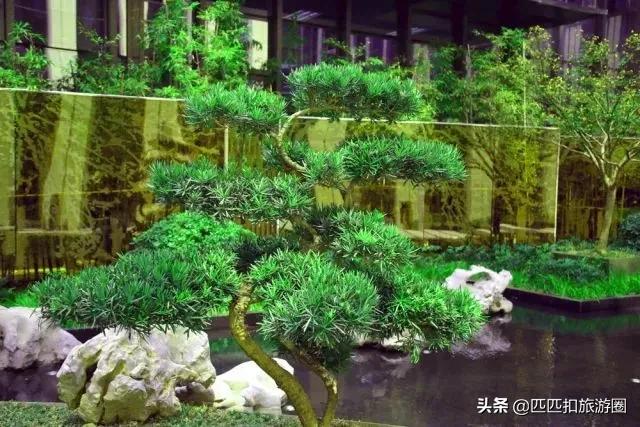 无锡太湖华邑酒店圣诞自助,无锡太湖华邑酒店附近好吃的