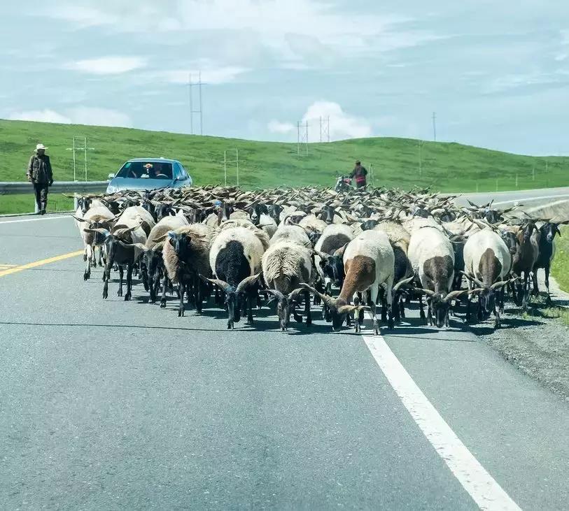 甘南被誉为,甘南世界十大美景