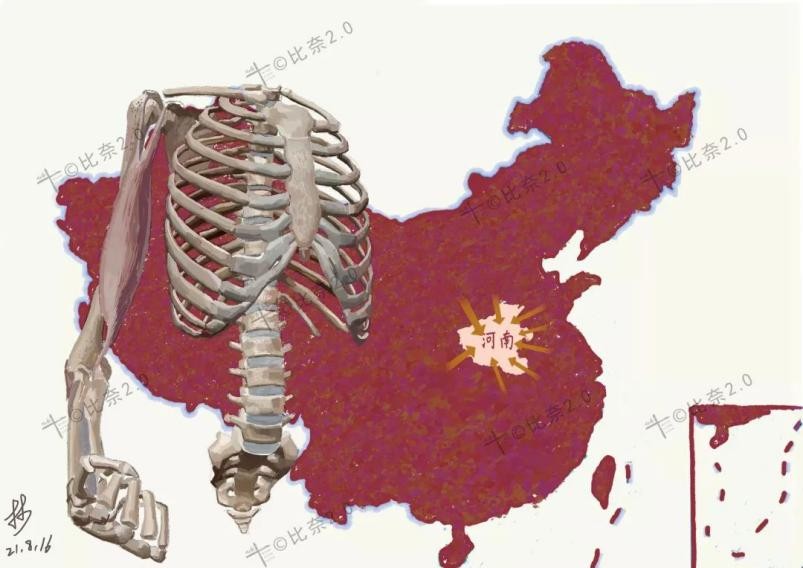 灵魂画手的手绘作品,医学生手绘器官创意解剖绘画