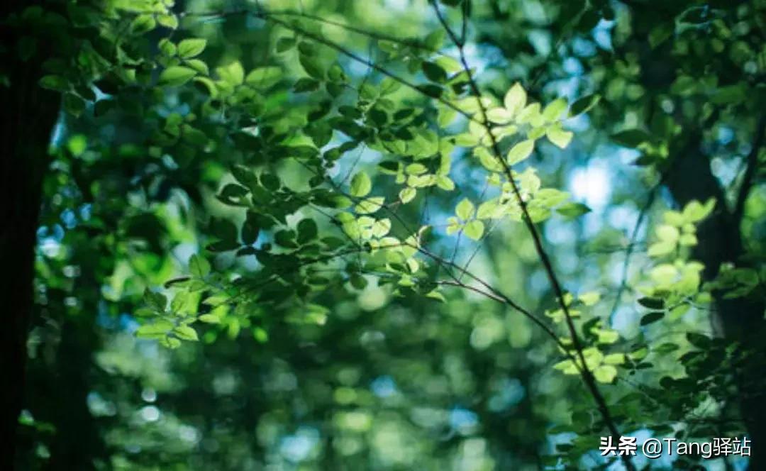 歌曲陪你度过寒冷的冬天,哪首歌陪你度过了2018