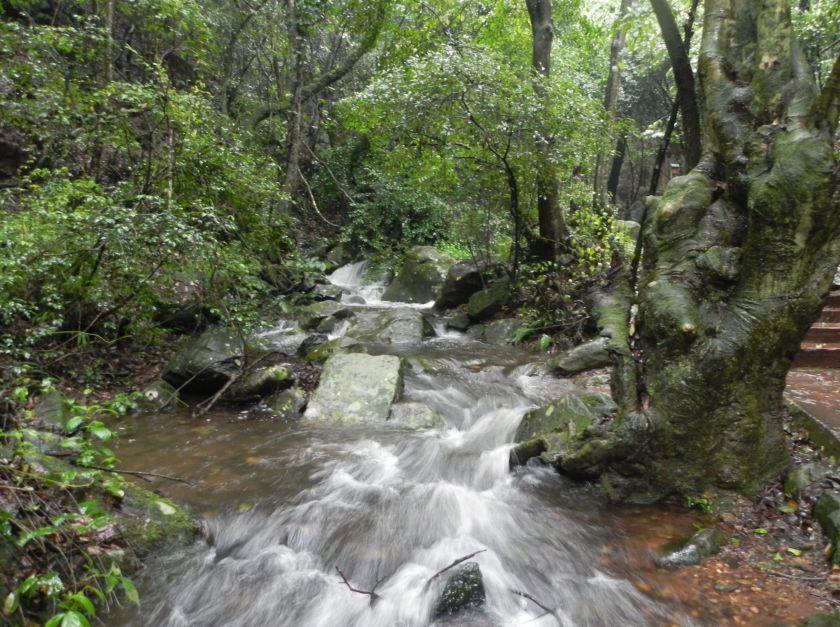 昆明60公里避暑胜地,昆明避暑胜地在哪里
