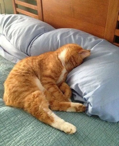 穿搭博主怎么创建品牌,穿搭博主怎么自己做自己的品牌