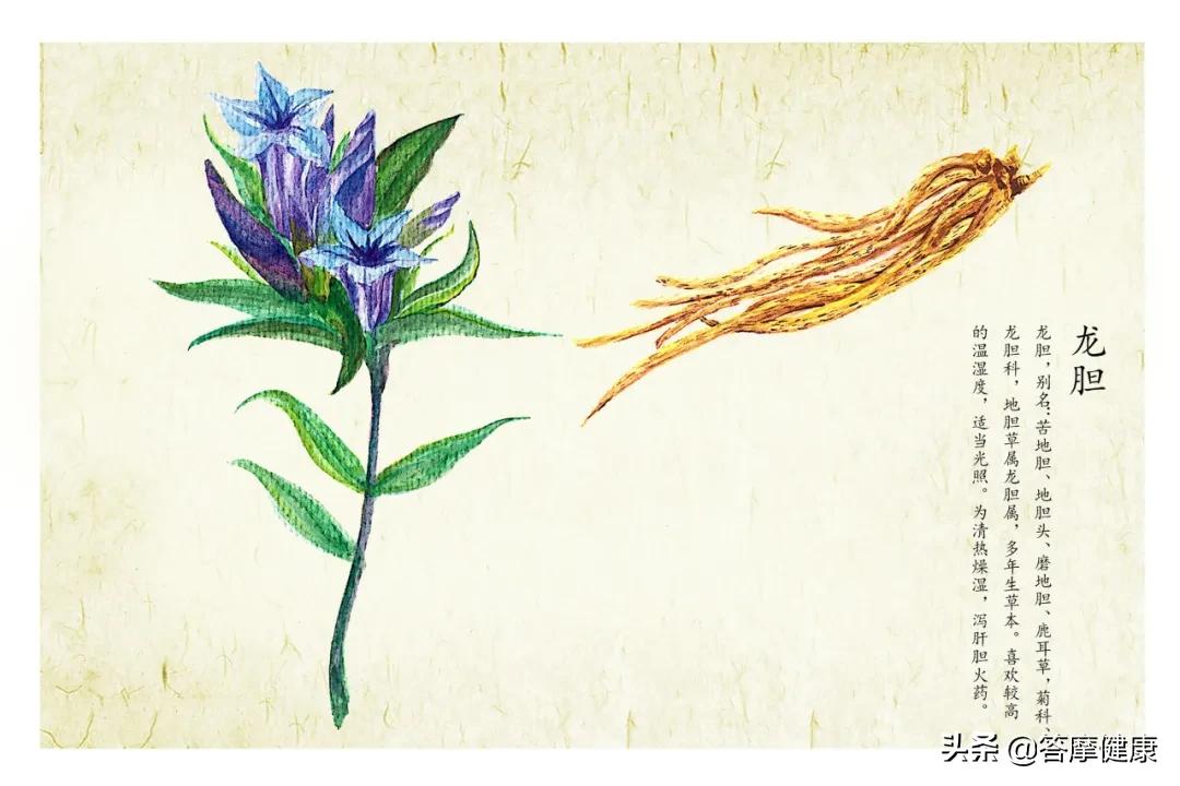 湿疹、犯困…折磨人的「湿邪」到底是什么？怎么辨？怎么治？