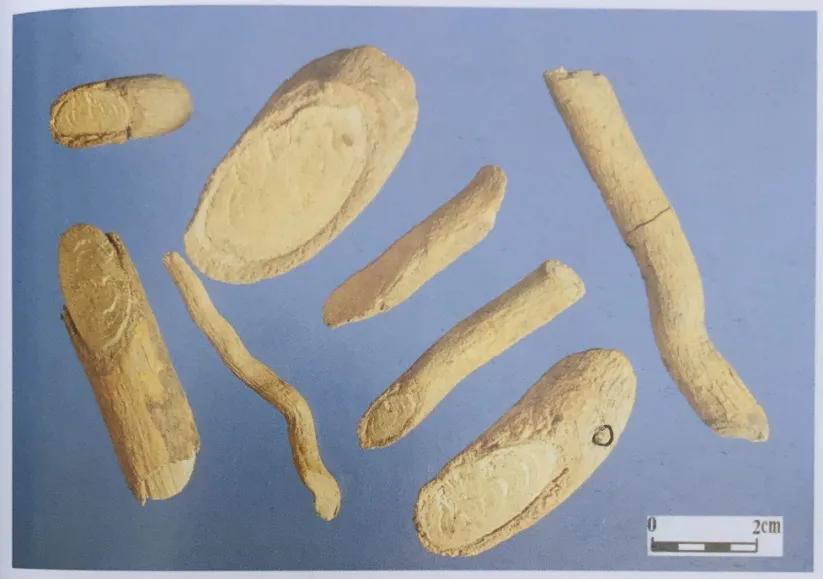 中草药牙膏两面针成分,两面针牙膏的功效和作用