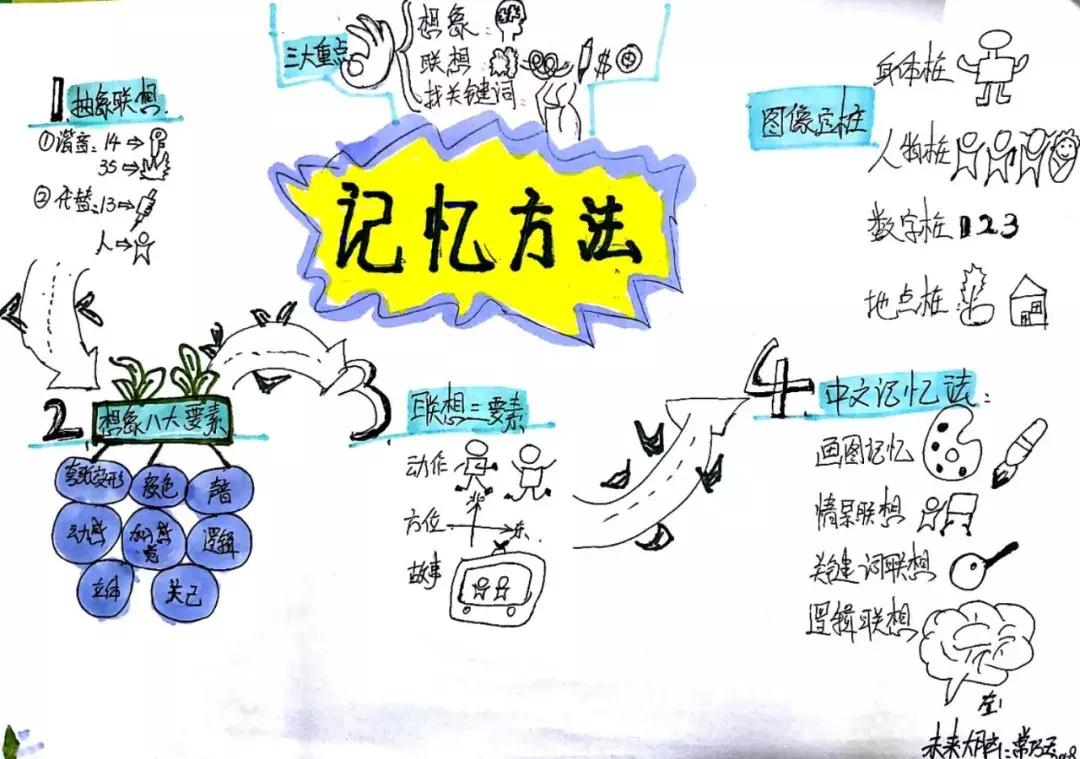 2020最强大脑特训营,最强大脑暑假特训班