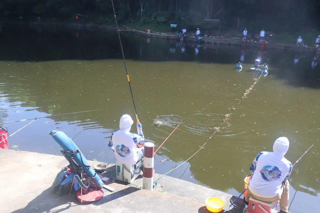 畅玩抚州嘉年华,畅玩海上嘉年华