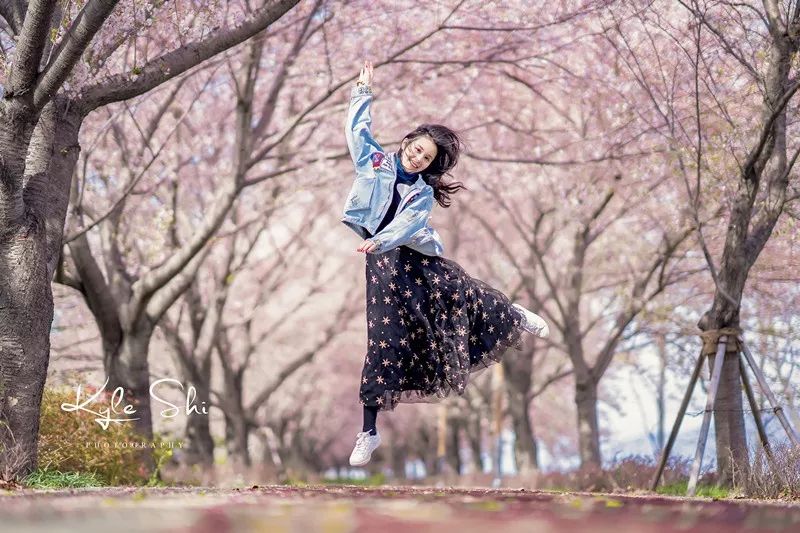 樱花季去京都怎么避免人太多,樱花季去日本旅行