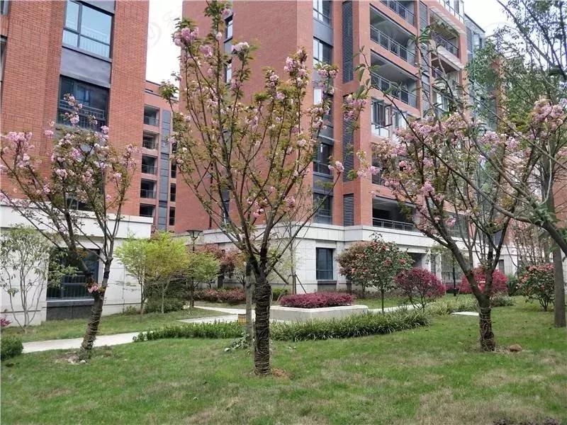 恩施龙凤生态城叠墅中叠,恩施龙凤生态城新房