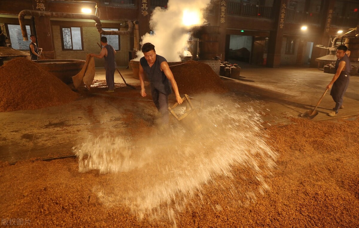 五粮液招聘信息2020校园招聘,五粮液集团招聘条件