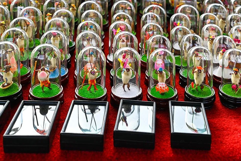 满满的烟火气逛大集真好玩,最值得逛的大集