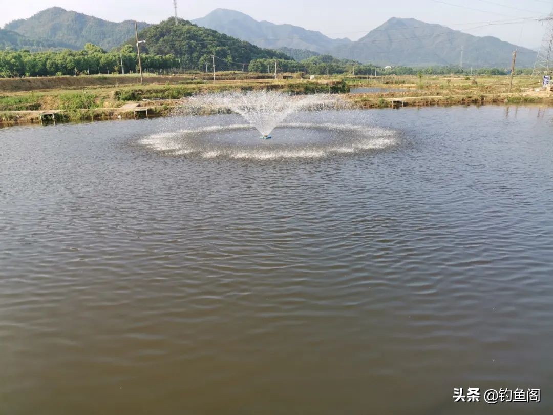 7.2米鱼竿黑坑用19调还是28调好,钓黑坑如何选钓竿