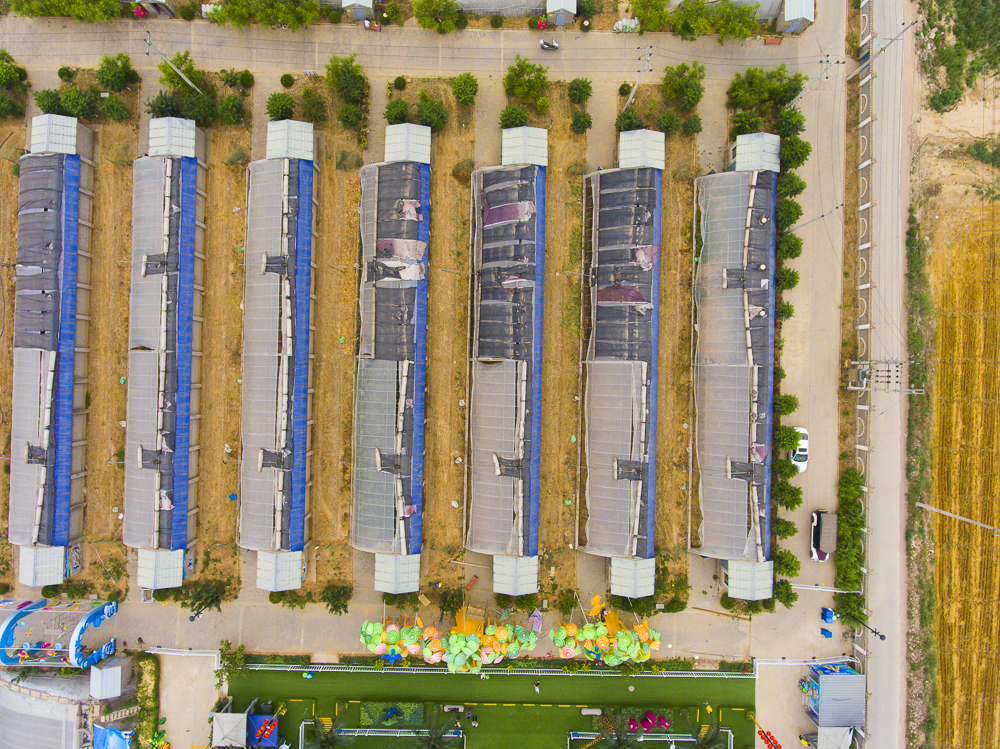 #毕业旅行啦#石家庄慧灯庄园，夏日里寓教于乐爽歪歪