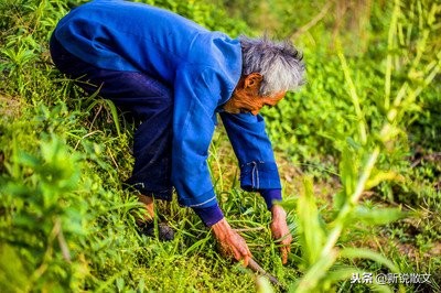 父亲是一个朴实的农民，他不做生意，却有着生意人的头脑
