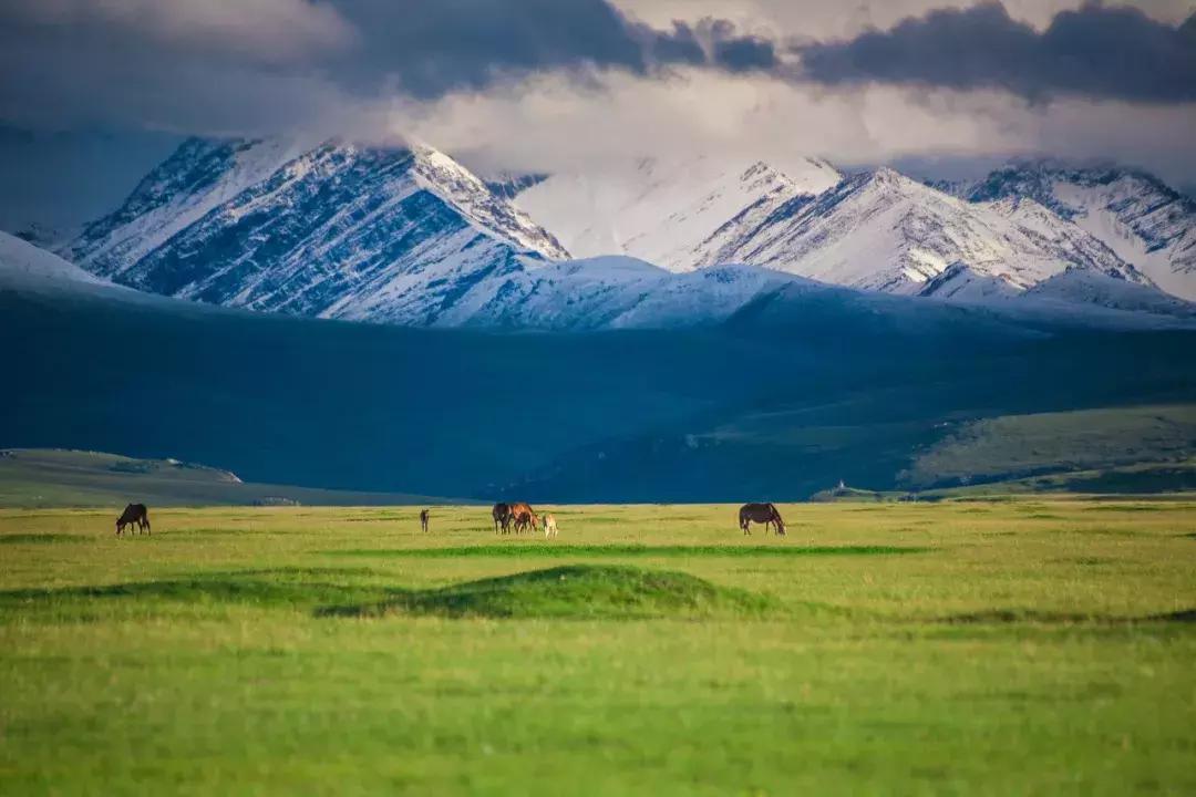 新疆的天堂在哪,新疆人间天堂在哪