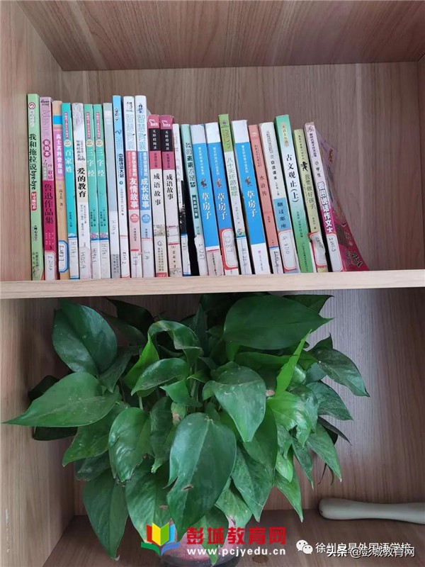 徐州市启星外语学校,徐州启星外国语学校小学部