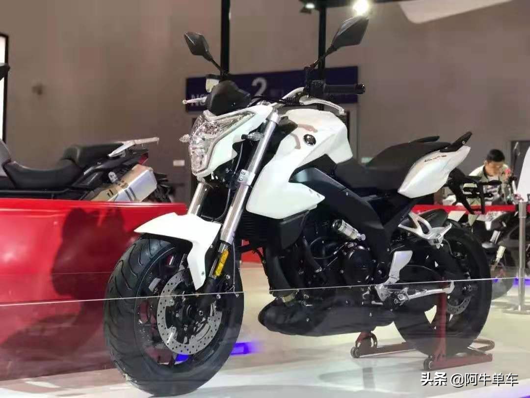 隆鑫无极650ds发动机杂音,摩托车隆鑫无极650ds测评