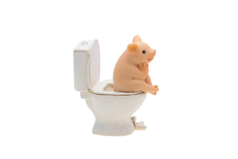 健康饮食后容易拉肚子,一喝凉水肠胃就很不舒服