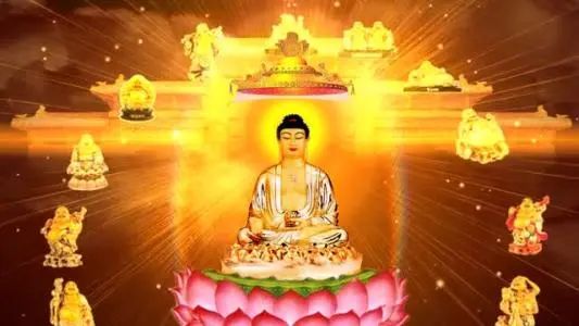 许家印120亿打造莲花形足球场,许家印恒大足球专业足球场