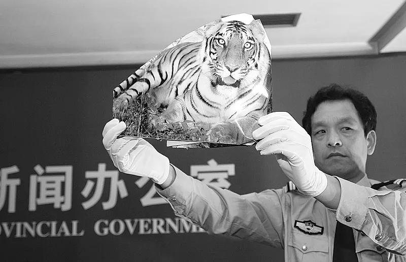 你有听过老虎咆哮吗,你听过野兽般的咆哮吗