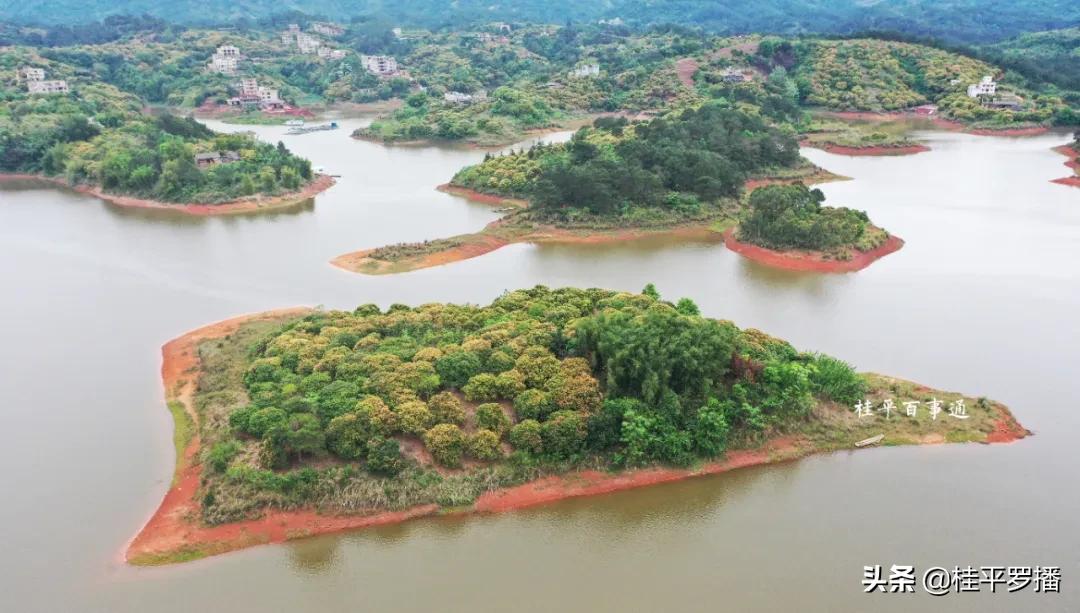 桂平很清的水库叫什么,桂平附近有什么水库