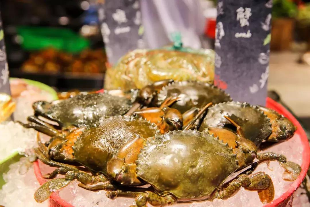 在澳门开一家宾馆,澳门伦敦人酒店开业