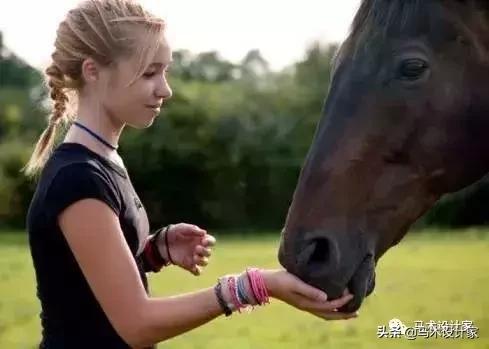 马术治疗注意力障碍,马术治愈孤独症