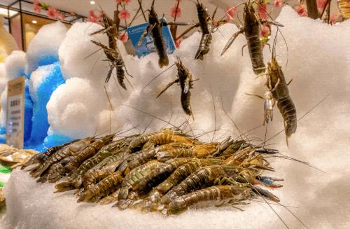 上海多伦多海鲜自助,上海自助海鲜餐厅排行榜第一名