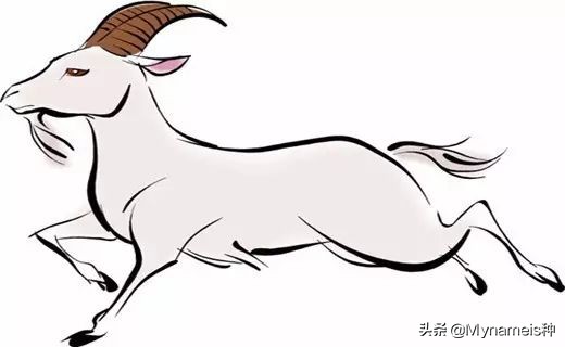 十二属相在今年每月的吉凶,十二属相各自都有什么缺人点