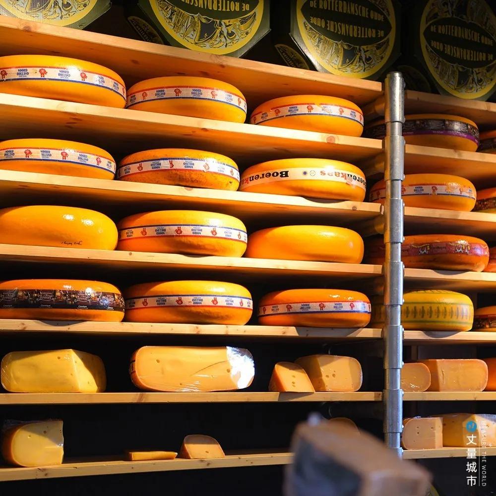 5.16国际牛奶日,每天一杯牛奶强壮中国人