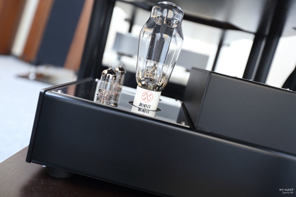 精准再进化,搭配胆机超迷人:德国飞星AudioPhysicVirgoIII