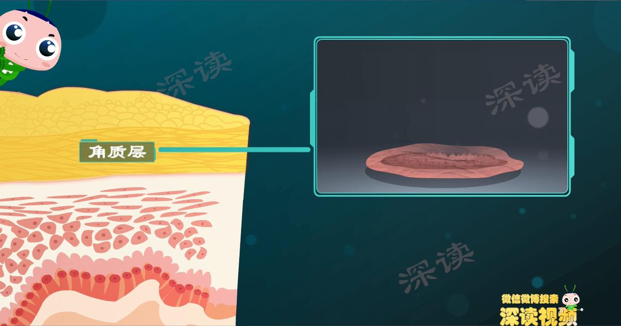 尖锐性湿疣都是hpv感染吗,尖锐性湿疣会引起hpv感染吗