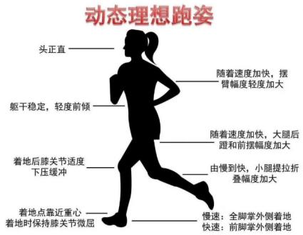 跑步爬楼梯腿会变粗嘛,爬山跑步会磨没软骨吗