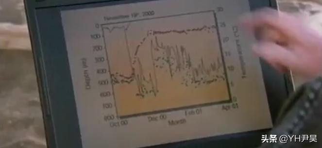 发生在美国的罕见事件，大白鲨遭遇神秘生物捕杀，真相颠覆认知