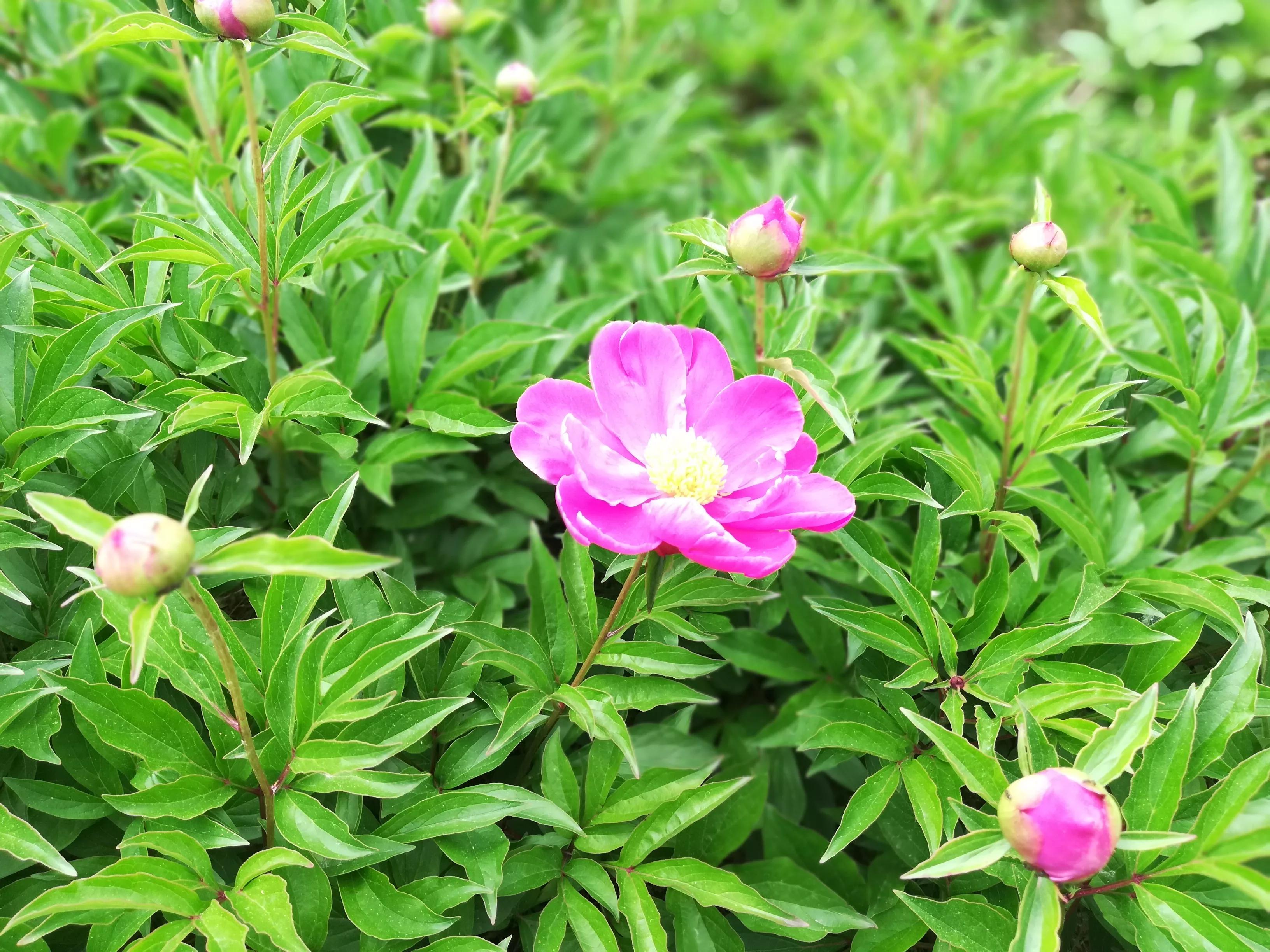 美女稽查官，夜闯“迷你”酒吧，与老板私下做生意