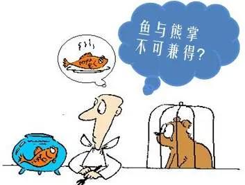 菲律宾宿务游学专业怎么样,菲律宾宿务ssc国际学校