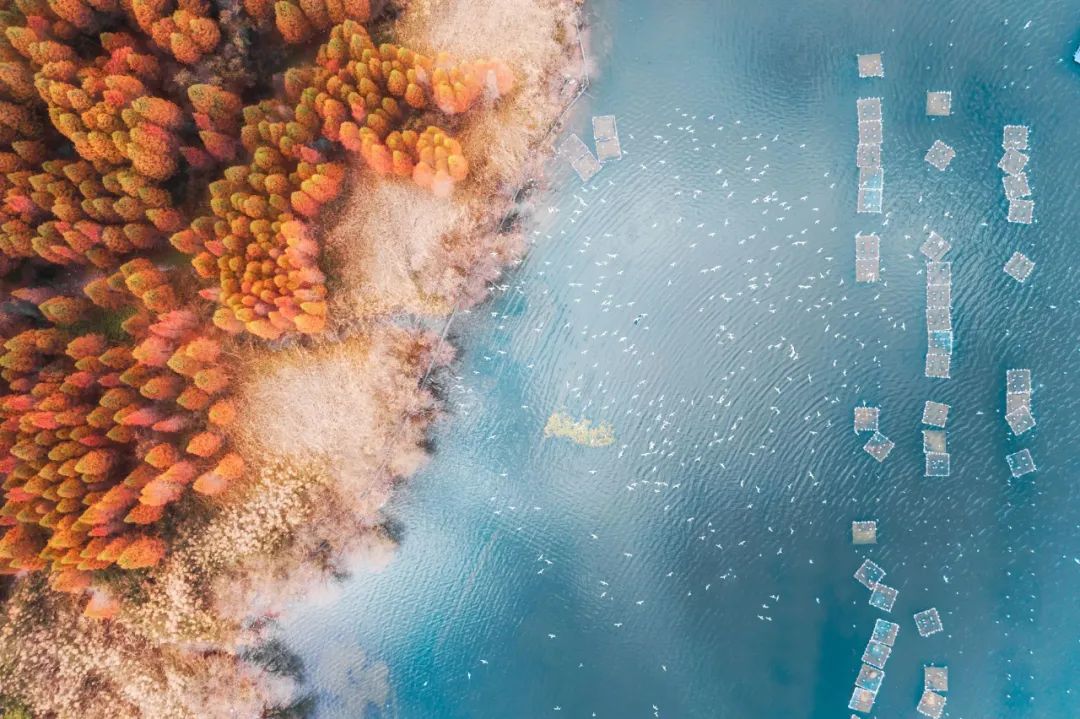 云南抚仙湖绝美风景,云南人少地方美