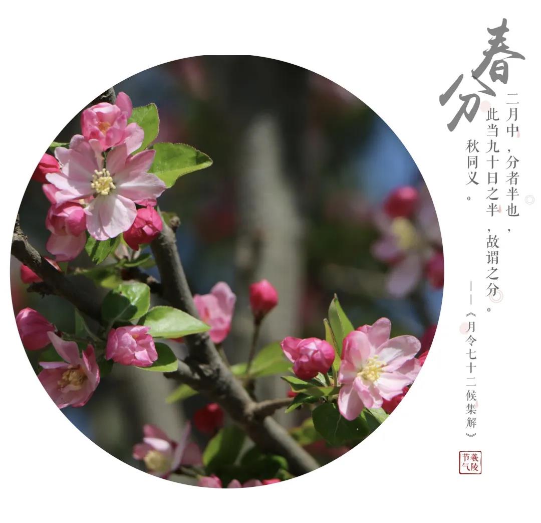 二十四节气美图大全,二十四节气歌完整版