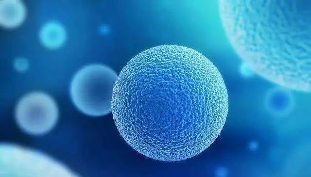 怎么判断自己什么时候排卵,怎么能知道自己什么时候排卵