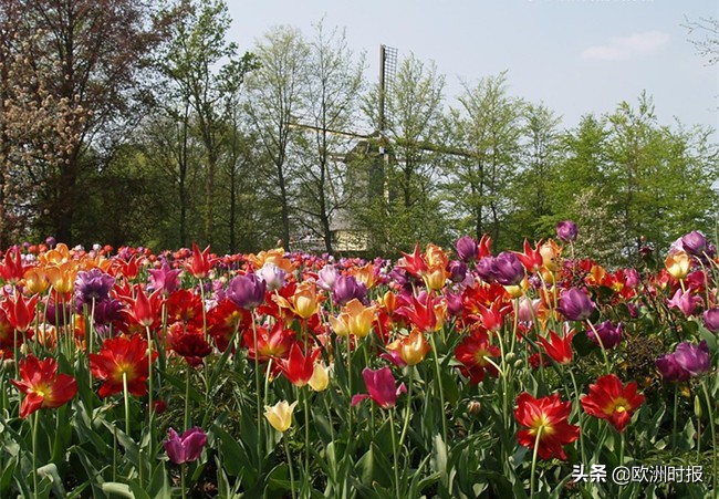 卢浮宫埃菲尔铁塔旅游攻略,法国巴黎埃菲尔铁塔景点