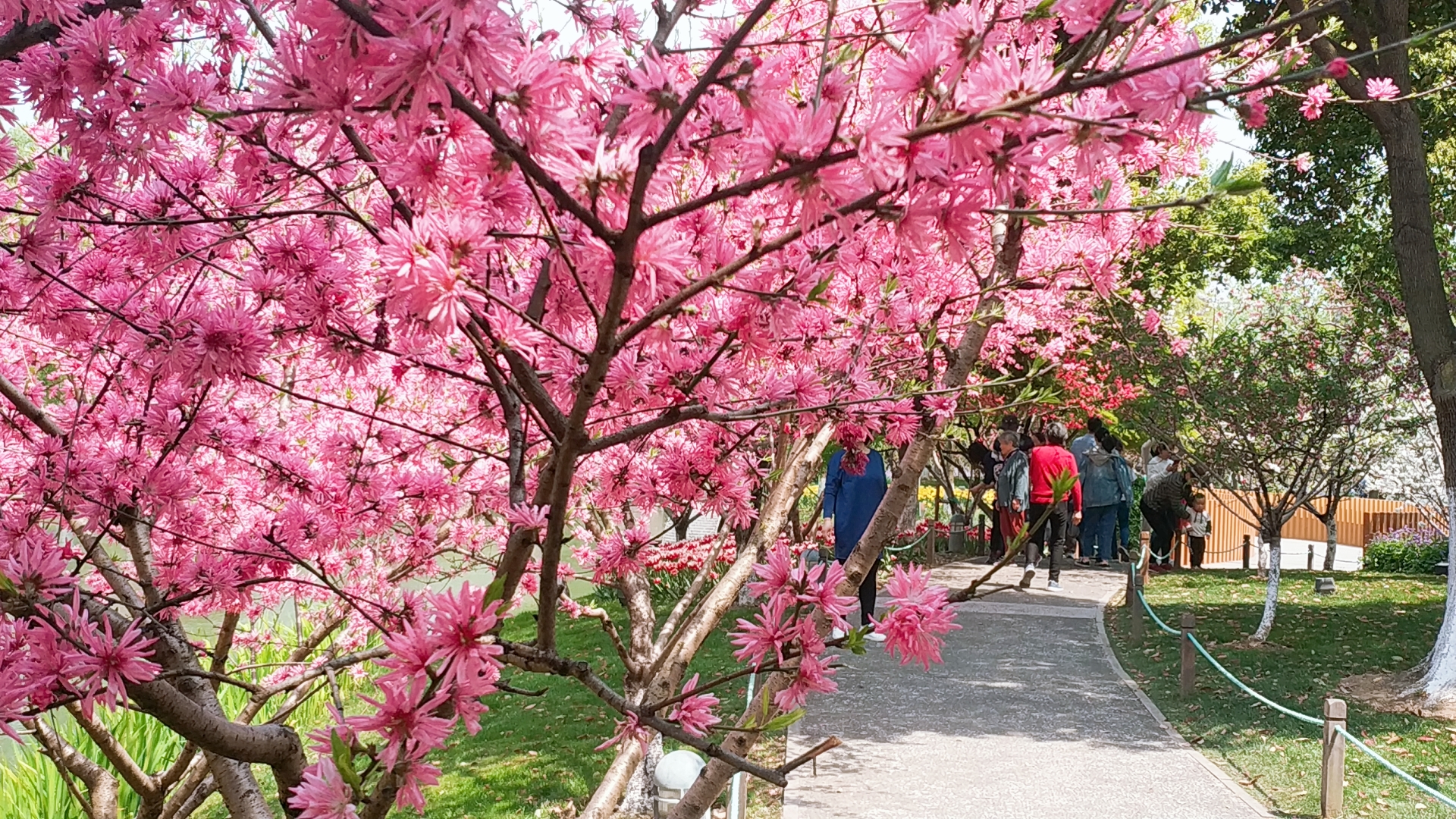 常州为什么那么富,常州为什么发展得那么快