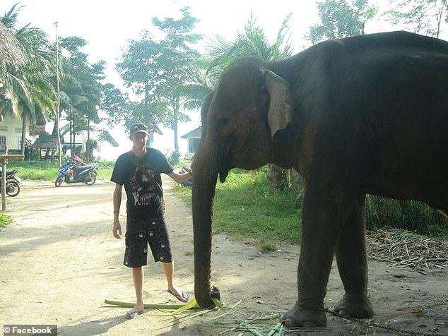 南非一愤怒公象猛冲向游览车,南非大象发怒路上疯狂冲撞游客车