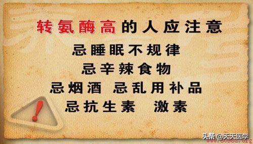 血液中转氨酶的升高提示了什么,血液出现转氨酶升高