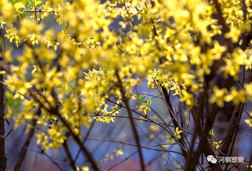 娌抽挗閭挗閾佽矾,娌抽挗閭挗楂樼倝