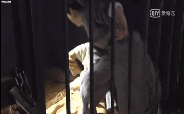 武林外传要翻拍了吗,至今无人敢翻拍白眉大侠