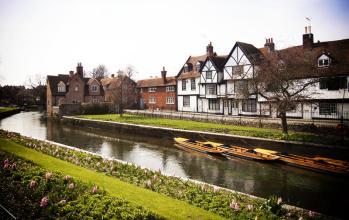 小学阶段英语单词大全：23个类别|疏桐国际教育