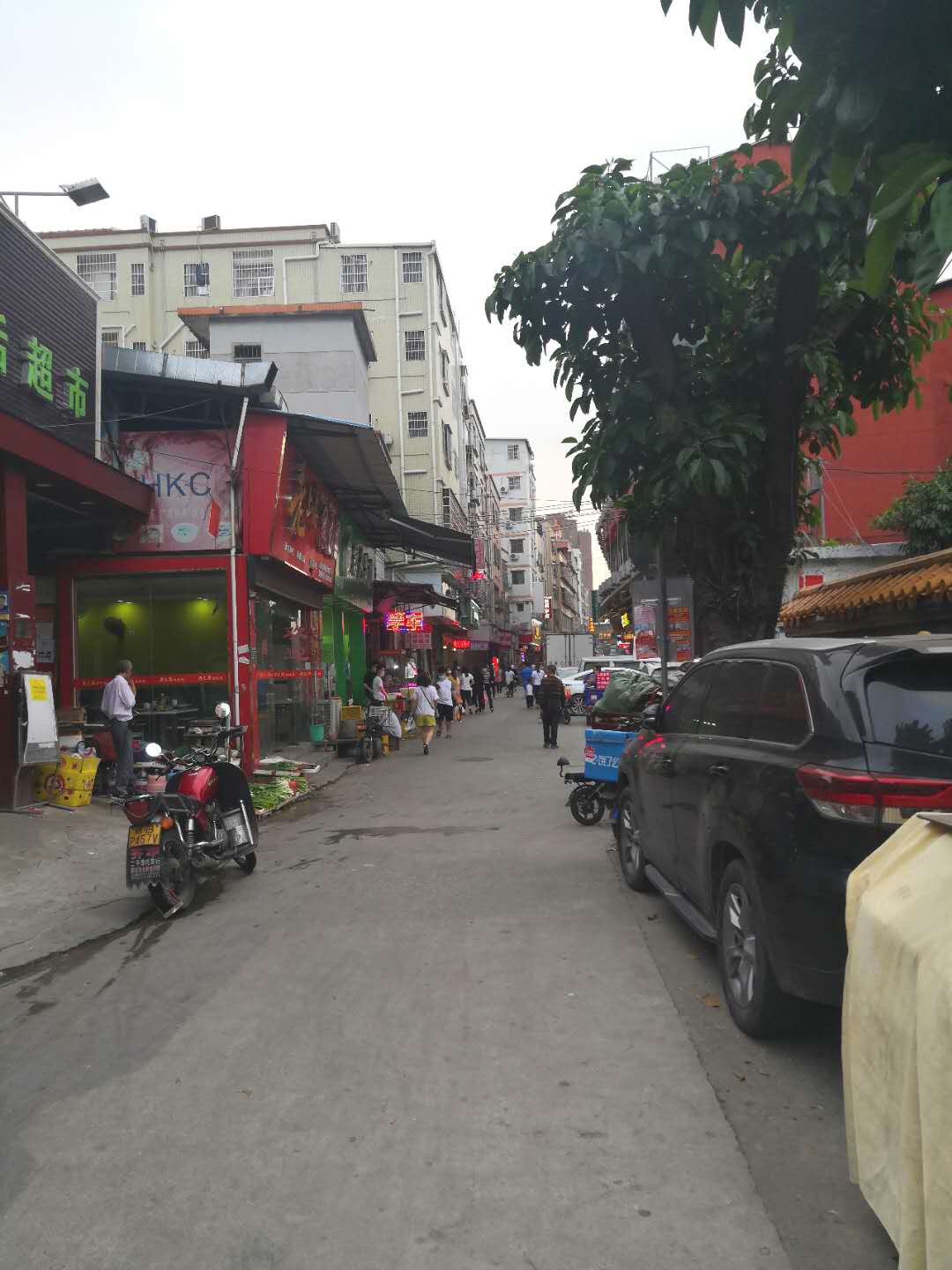 番禺城中村探访视频,广东广州番禺礼村