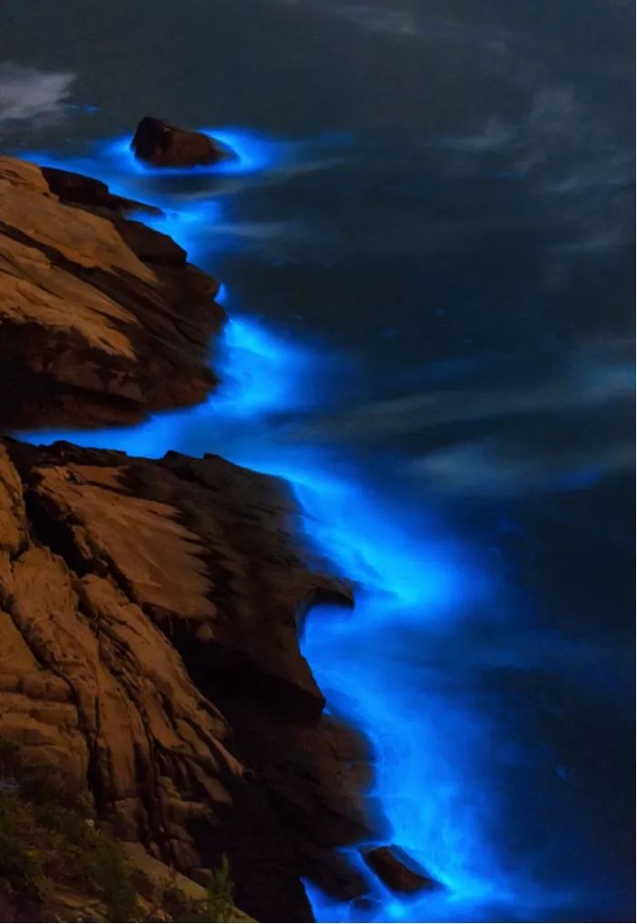 不输国外的绝世海岛,普吉四大美丽海岛